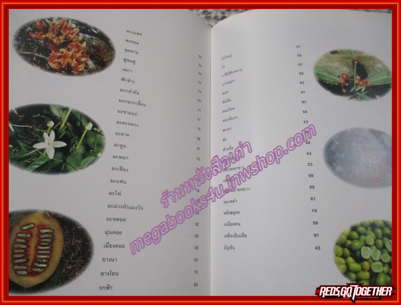 สวนพฤกษศาสตร์สมเด็จพระนางเจ้าสิริกิตติ์ QUEEN SIRIKIT BOTANIC GARDEN เล่ม1 องค์การสวนพฤกษศาสตร์