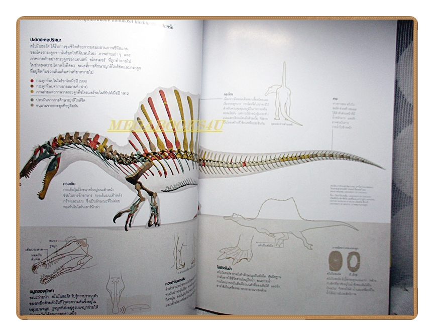 นิตยสาร เนชั่นแนลจีโอกราฟิก ฉบับภาษาไทย ฉบับ159 ตุลาคม 2557