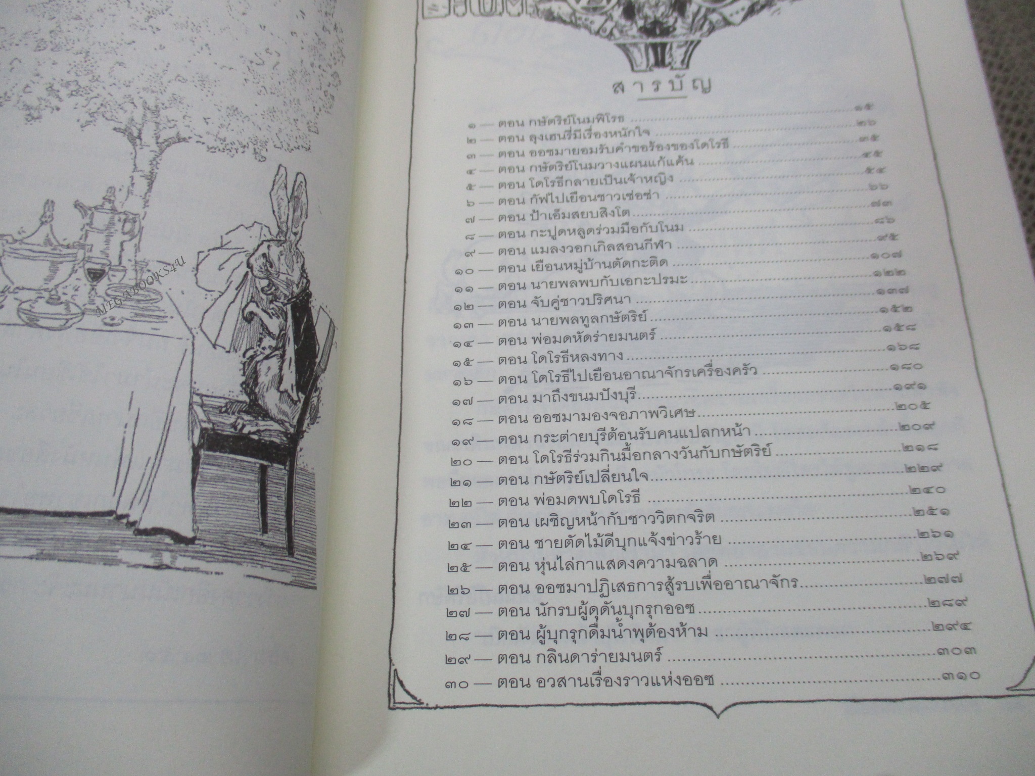 เมืองมรกต แห่งออซ The Emerald City of OZ (มือสอง) (สภาพ85-95%)