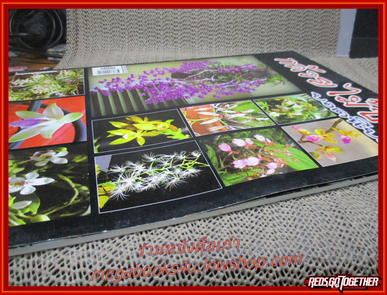 กล้วยไม้ป่า ยอดนิยม