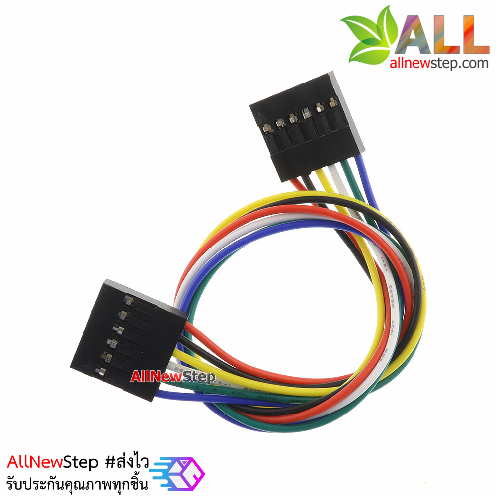 Jumper Wire 6P 2.54mm Female to Female สายไฟจัมเปอร์ เมีย-เมีย 6 เส้น ยาว 20cm