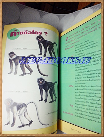 นิตยสารสารคดี ฉบับที่114 สิงหาคม 2537 ค่างแว่นถิ่นใต้ ข่มขืน หมอยาพื้นบ้าน ระนอง