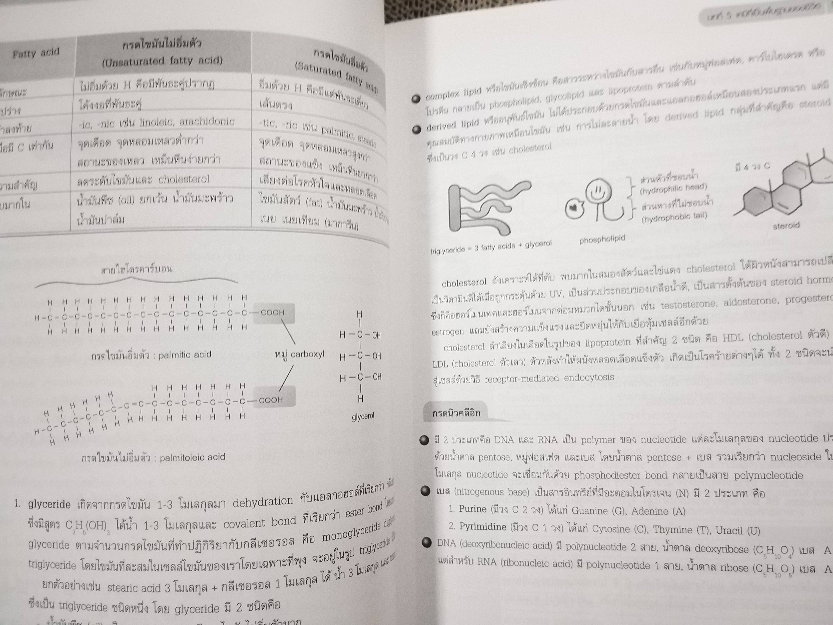 ชีววิทยา Biology for high school students / จิรัสย์ เจนพาณิชย์