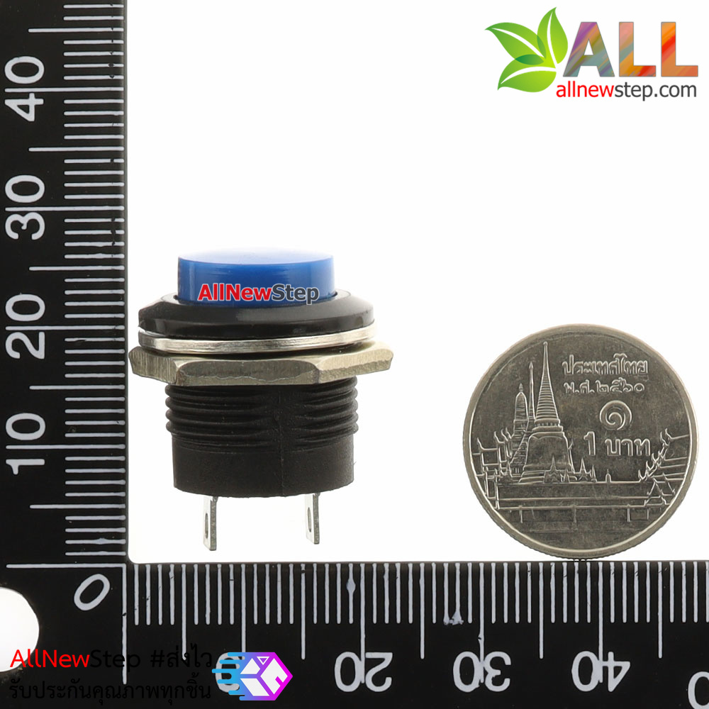 สวิตช์กดติดปล่อยดับ รีเซตสวิตช์ R13-507 250V 3A ขนาด 16MM สีน้ำเงิน
