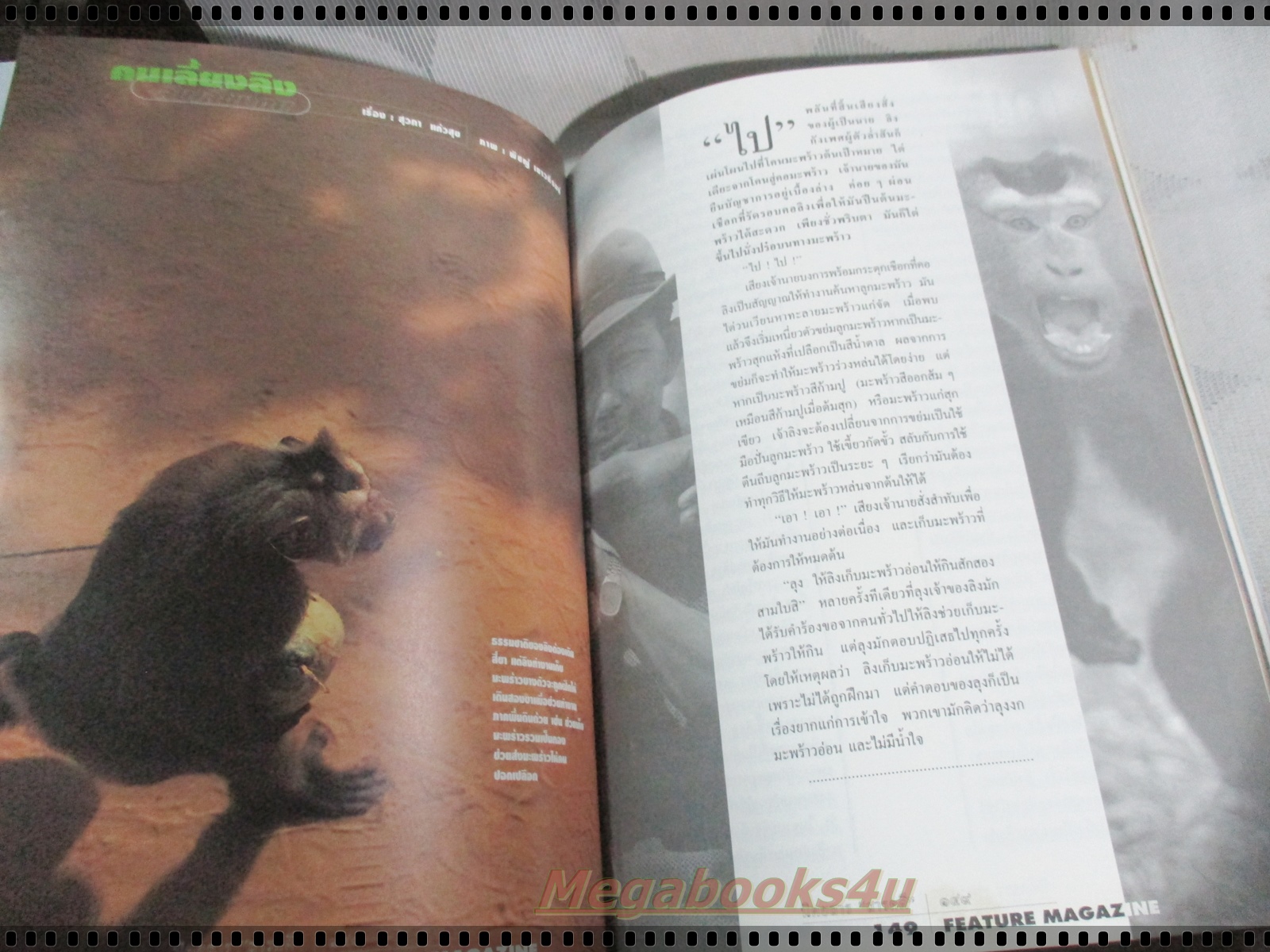 นิตยสารสารคดี ฉบับที่111 ปีที่10 พ.ค. 2537,กะเหรี่ยง,ลิงเก็บมะพร้าว,จระเข้,เที่ยวพะเยา