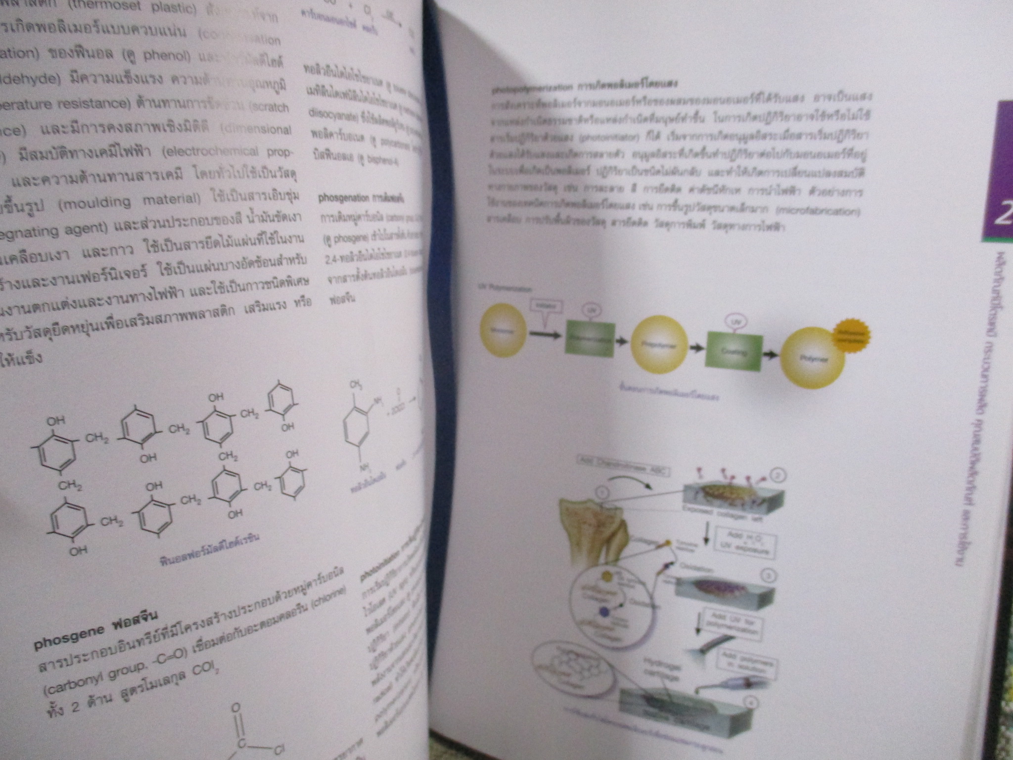 หนังสือ สารานุกรม เปิดโลกปิโตรเคมี Petrochemical. Encyclopedia / โดย ปตท. /