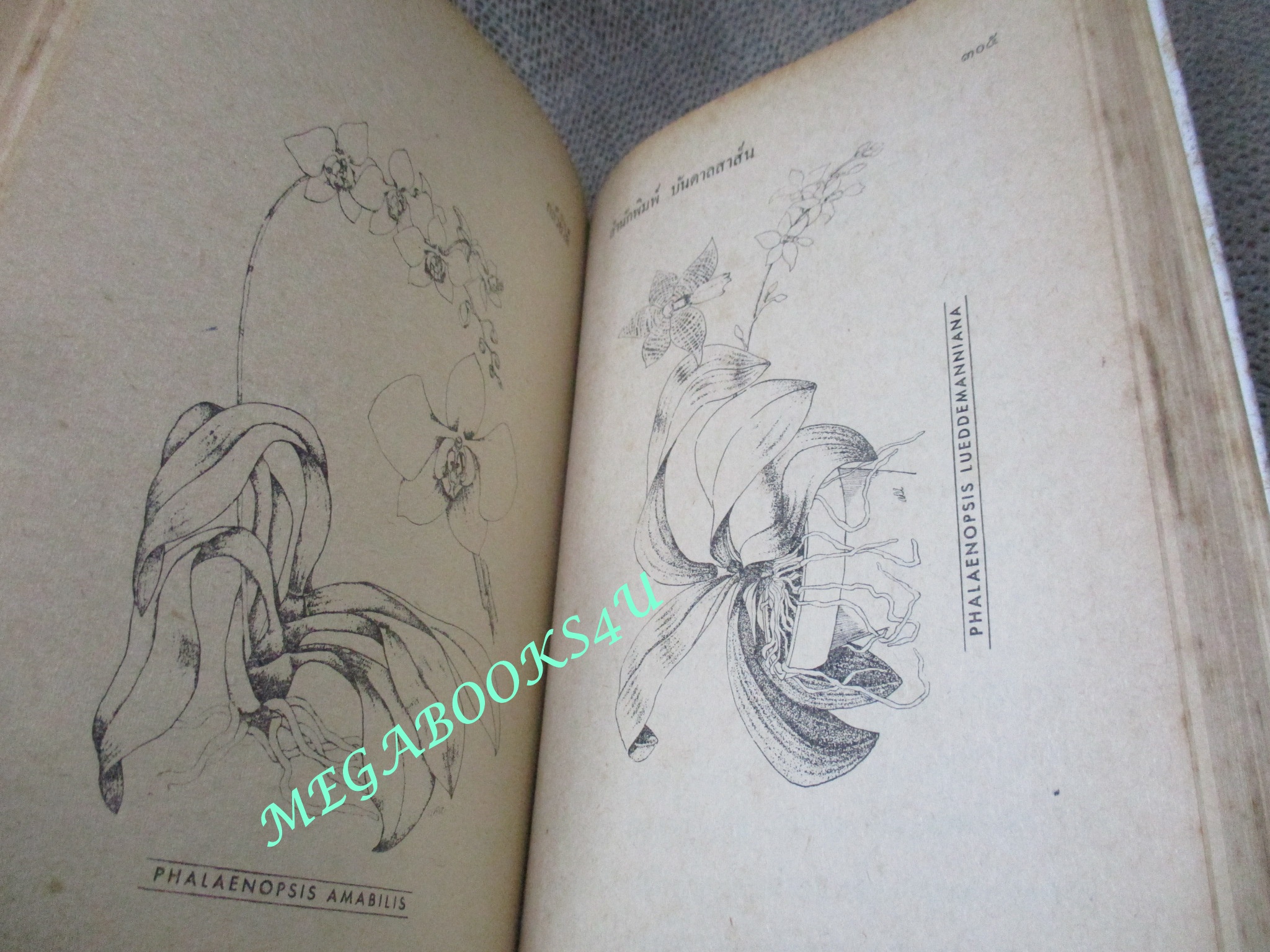 วิธีปลูกและขยายพันธุ์ กล้วยไม้ / รพีภรณ์ ปี2516