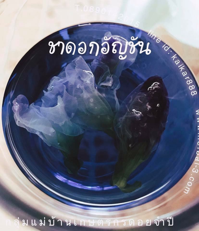 ดอกอัญชัน (1กก)