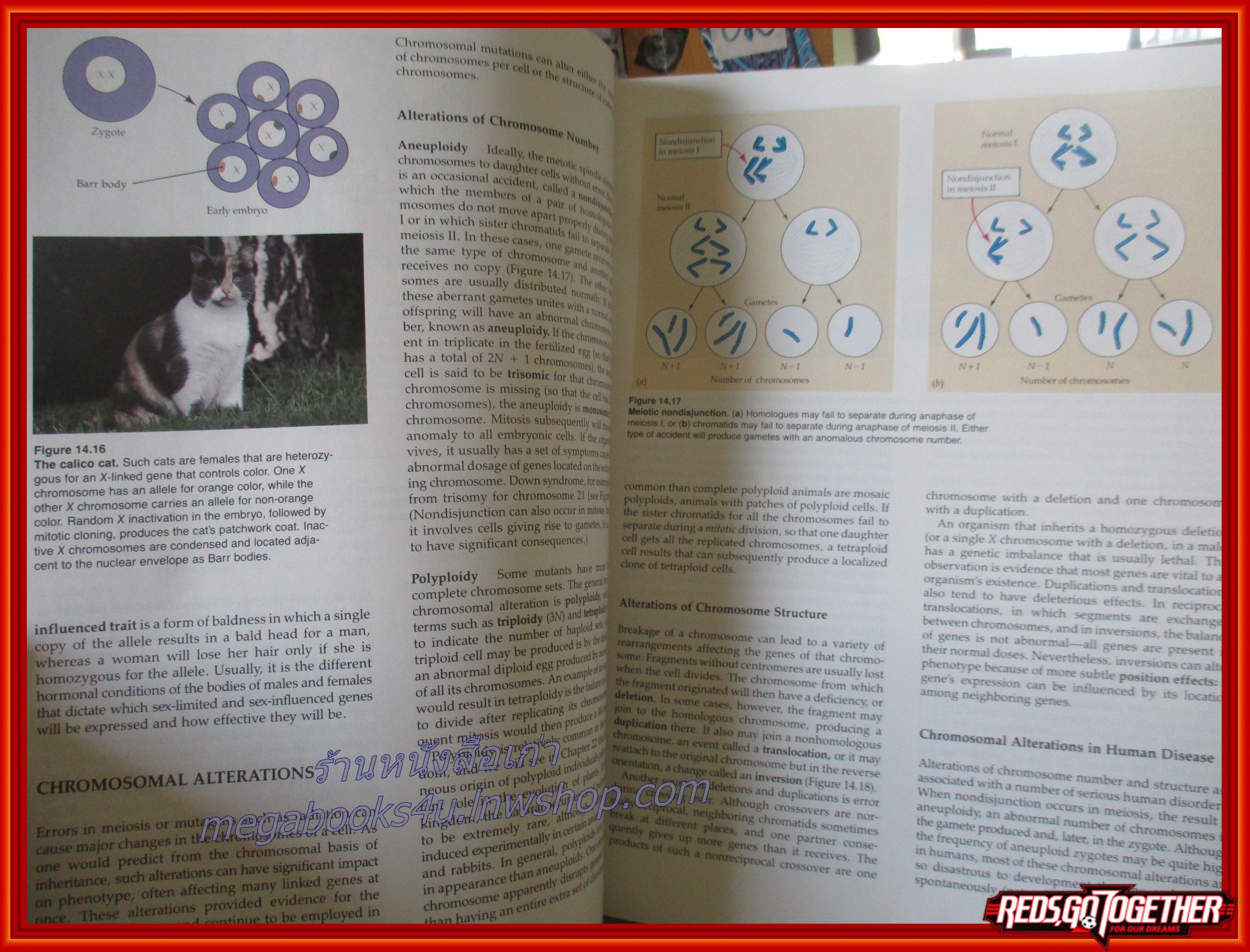 หนังสือชีวะ หนังสือชีววิทยา Biology Second Edition Campbell (ภาษาอังกฤษทั้งเล่ม)