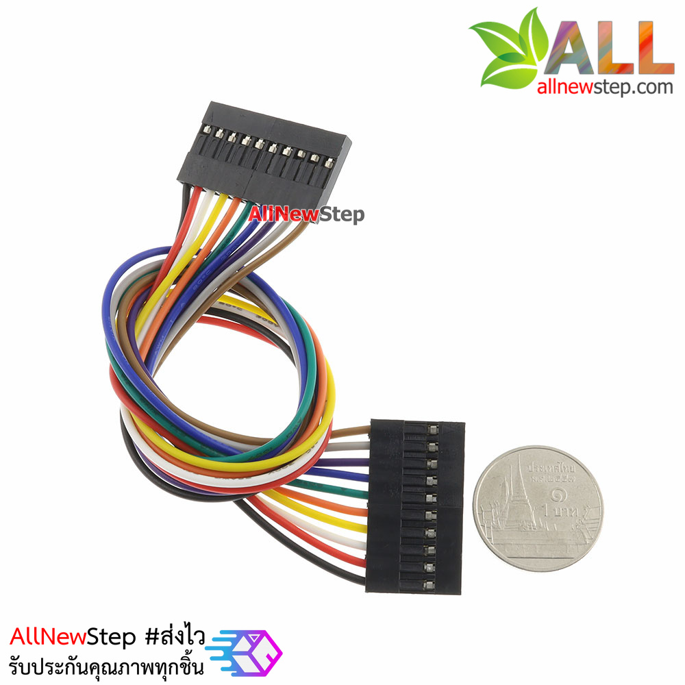 Jumper Wire 10P Female to Female สายไฟจัมเปอร์ เมีย-เมีย 10 เส้น ยาว 20cm