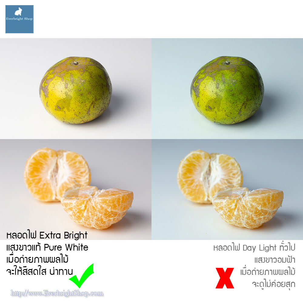 Studio Set A ชุดไฟสตูดิโอพร้อมฉาก 2x3M ความสว่างสูงสุด 12000LM