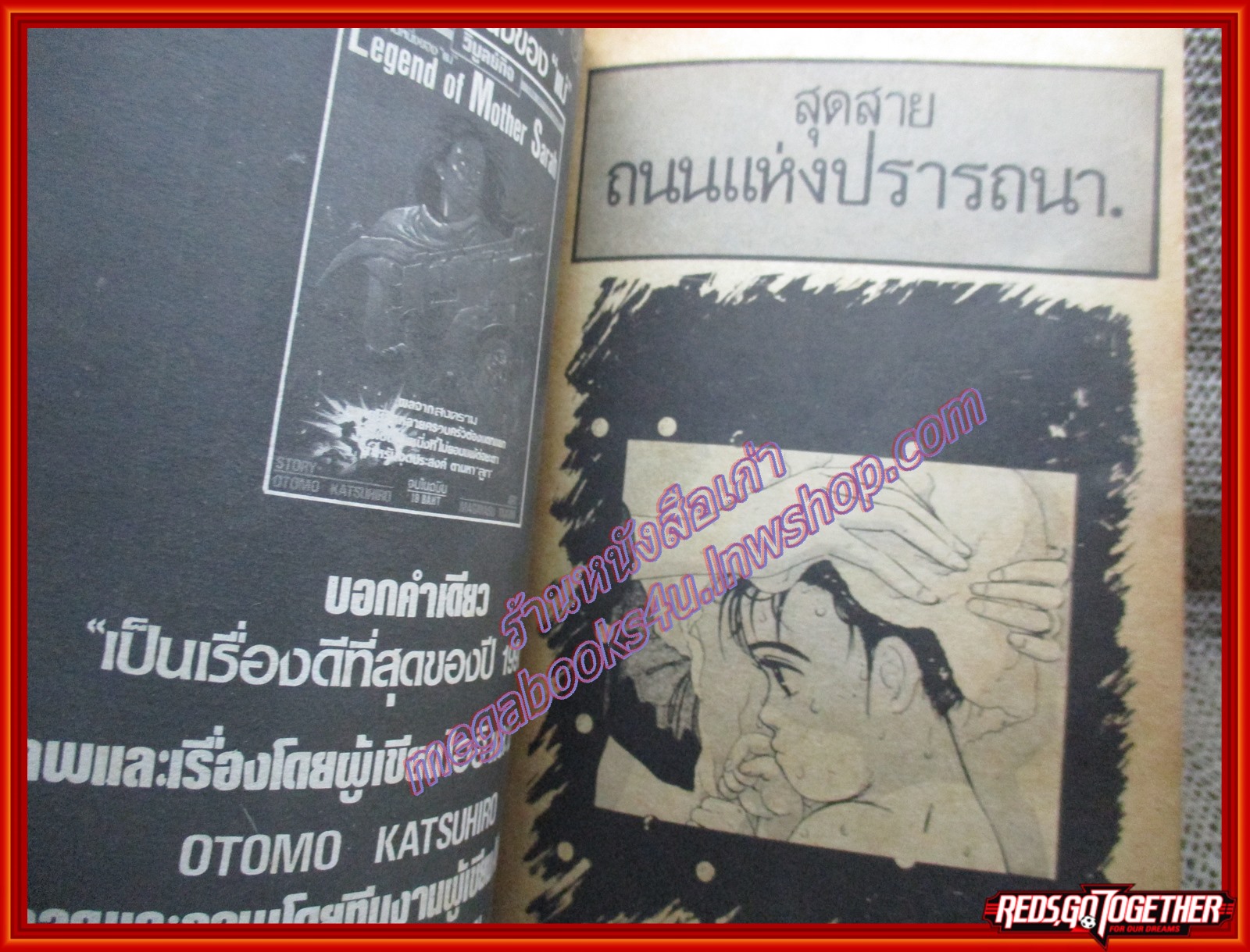 การ์ตูนบ้าน สุดสายถนนแห่งปรารถนา เล่ม1 (ออกมา5เล่ม)