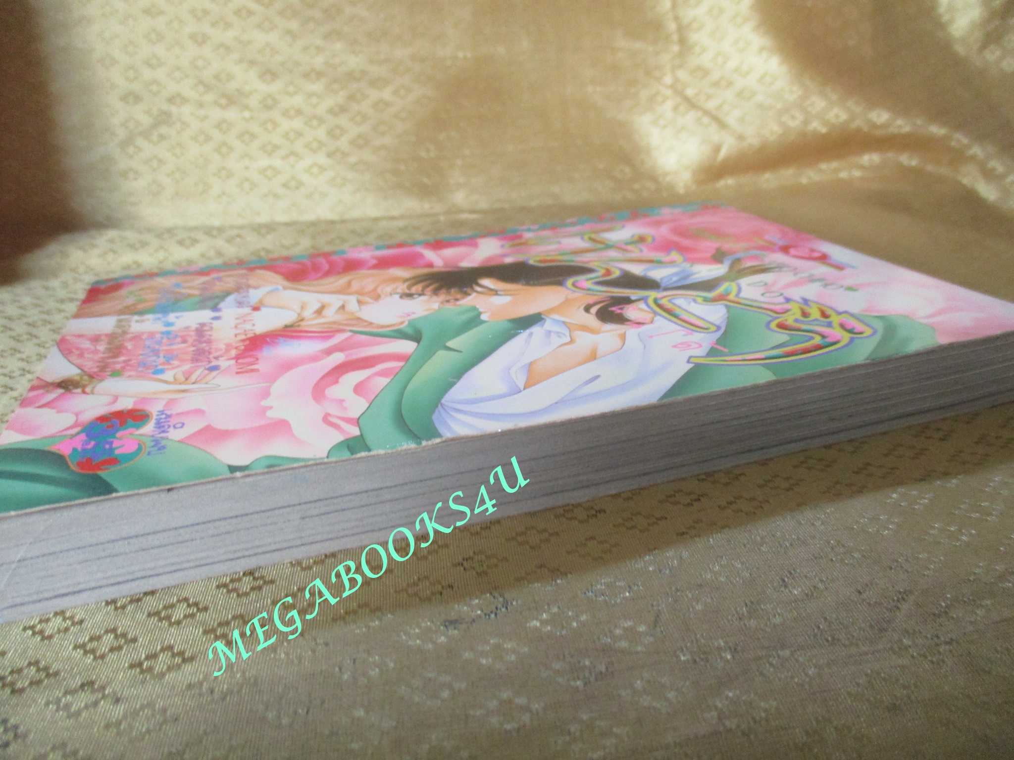 การ์ตูนบ้าน KENDO เคนโด้ - SAITO CHIHO / เล่มเดียวจบ / หมึกจีน /