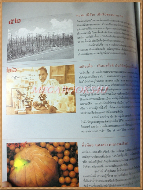 นิตยสารสารคดี ฉบับที่226 ธันวาคม 2546 กรมหลวงชุมพรฯ,หิ่งห้อย,ดอยสูงเมืองเหนือ,