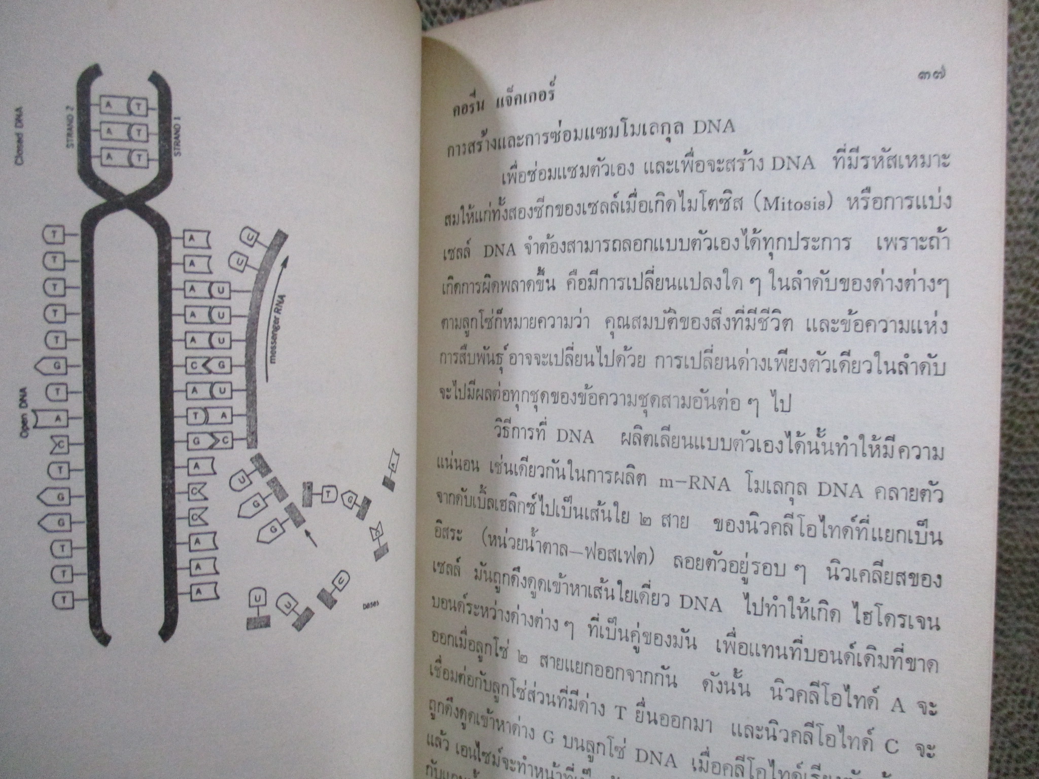 ปฏิวัติชีววิทยา / คอรีน แจ็คเกอร์ แปลโดย มนุวดี หังสพฤกษ์ / เปิดปกติ