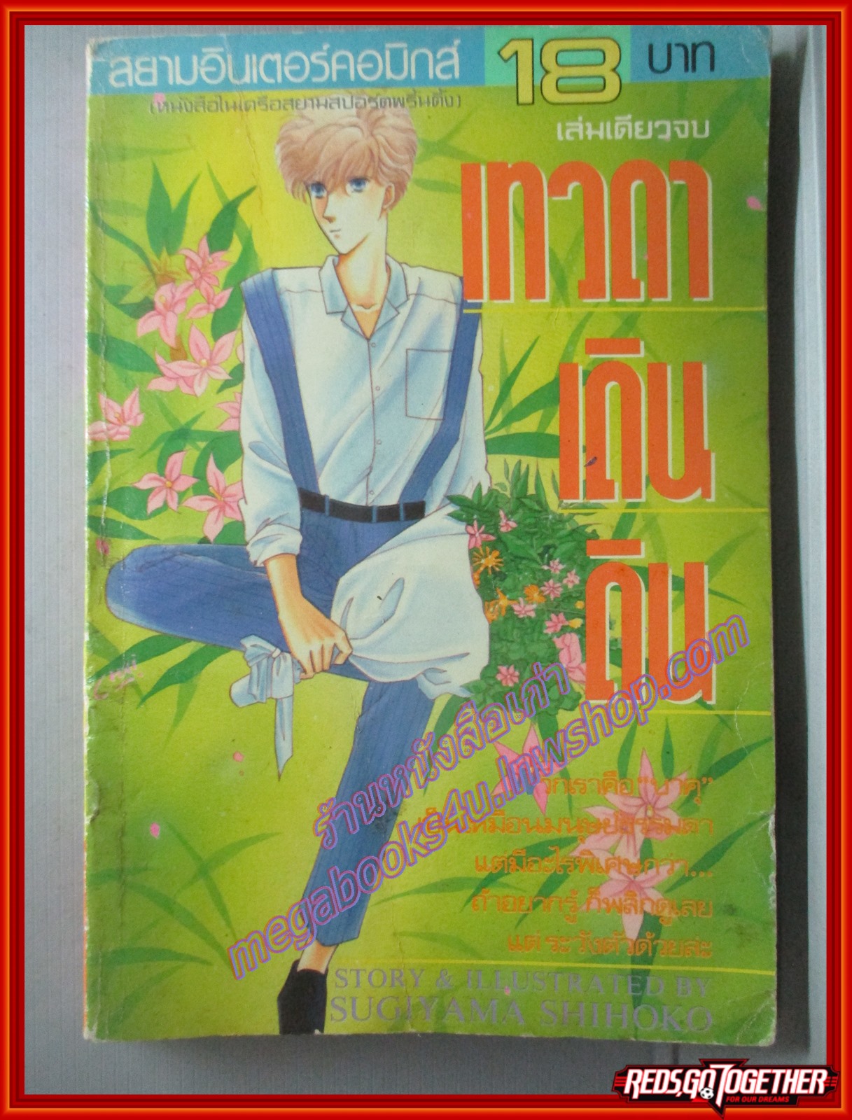 การ์ตูนบ้าน เทวดาเดินดิน เล่มเดียวจบ โดย SUGIYAMA SHIHOKO สนพ.สยามฯ