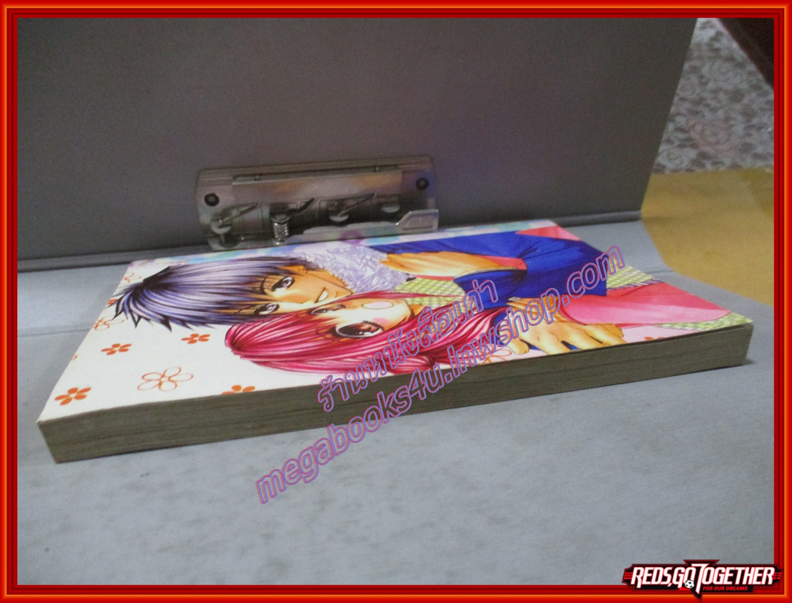 การ์ตูนบ้าน LOVE DIARY เลิฟ ไดอารี่ เล่มเดียวจบ สนพ.หมึกจีน