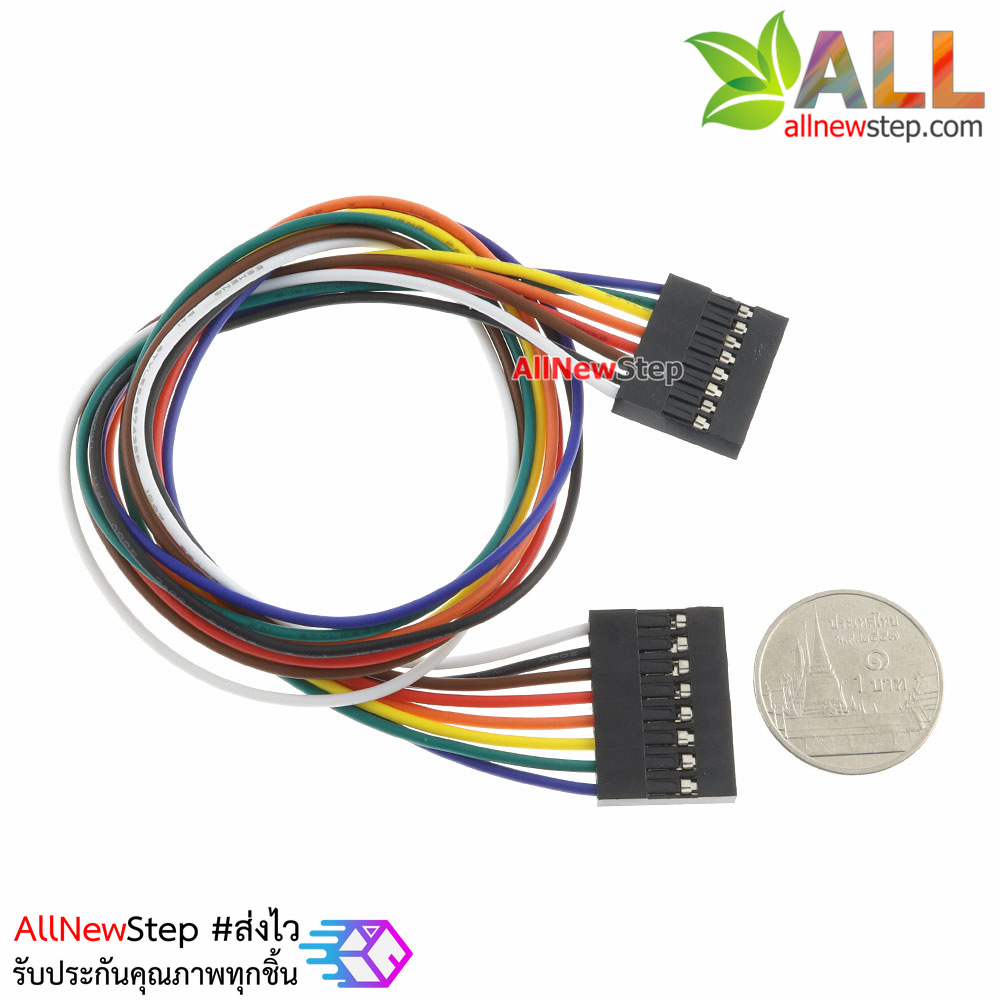 Jumper Wire 8P Female to Female สายไฟจัมเปอร์ เมีย-เมีย 8 เส้น