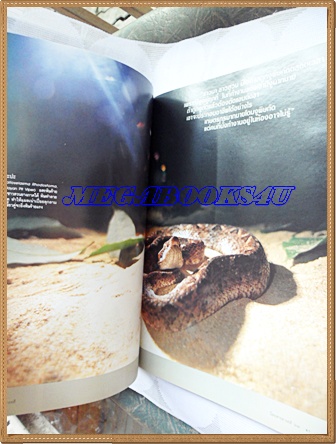 นิตยสารสารคดี ฉบับที่238 เพมาโค ตามรอยเพชรพระอุมา,หมอรักษาพิษงู,ฝูงนากแห่งทะเลใน,ตุ๊กตาศิลาจีน,