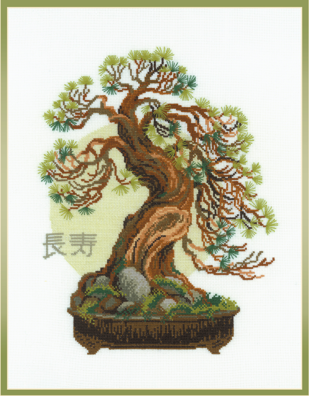Riolis Bonsai Matsu Wish of Longevity
