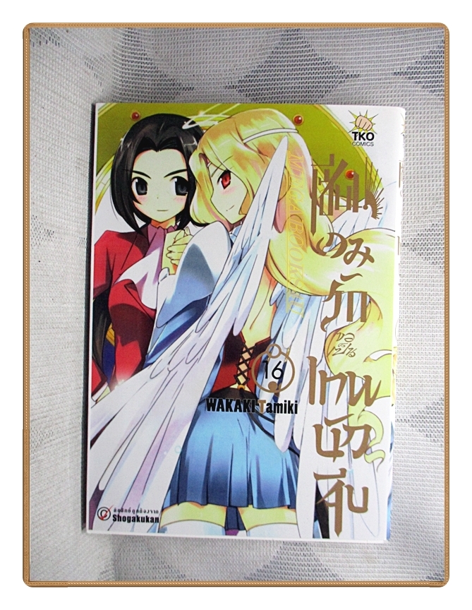 เซียนเกมรักขอเป็นเทพนักจีบ เล่ม16 สนพ.TKO สภาพดี