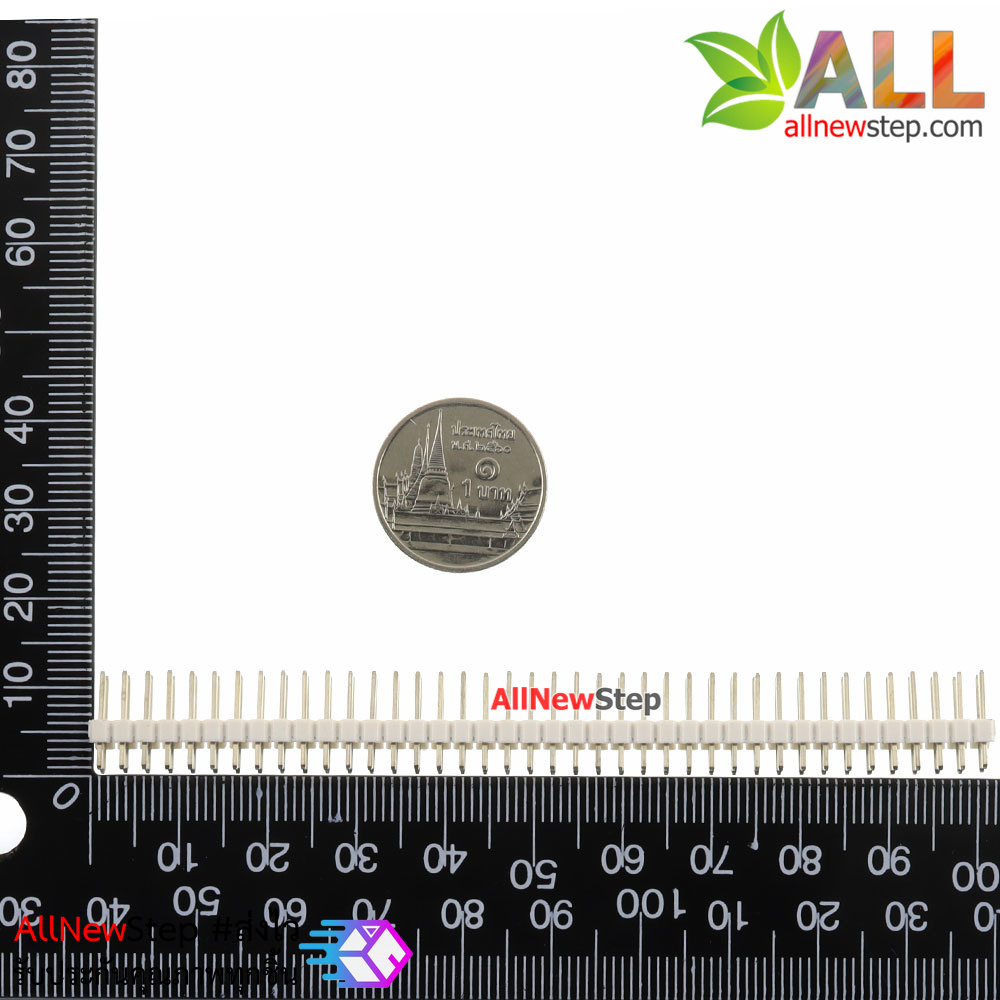 ก้างปลา 2x40 ขา สีขาว 2.54mm white Single Row Male 2X40 Copper Pin Header Strip