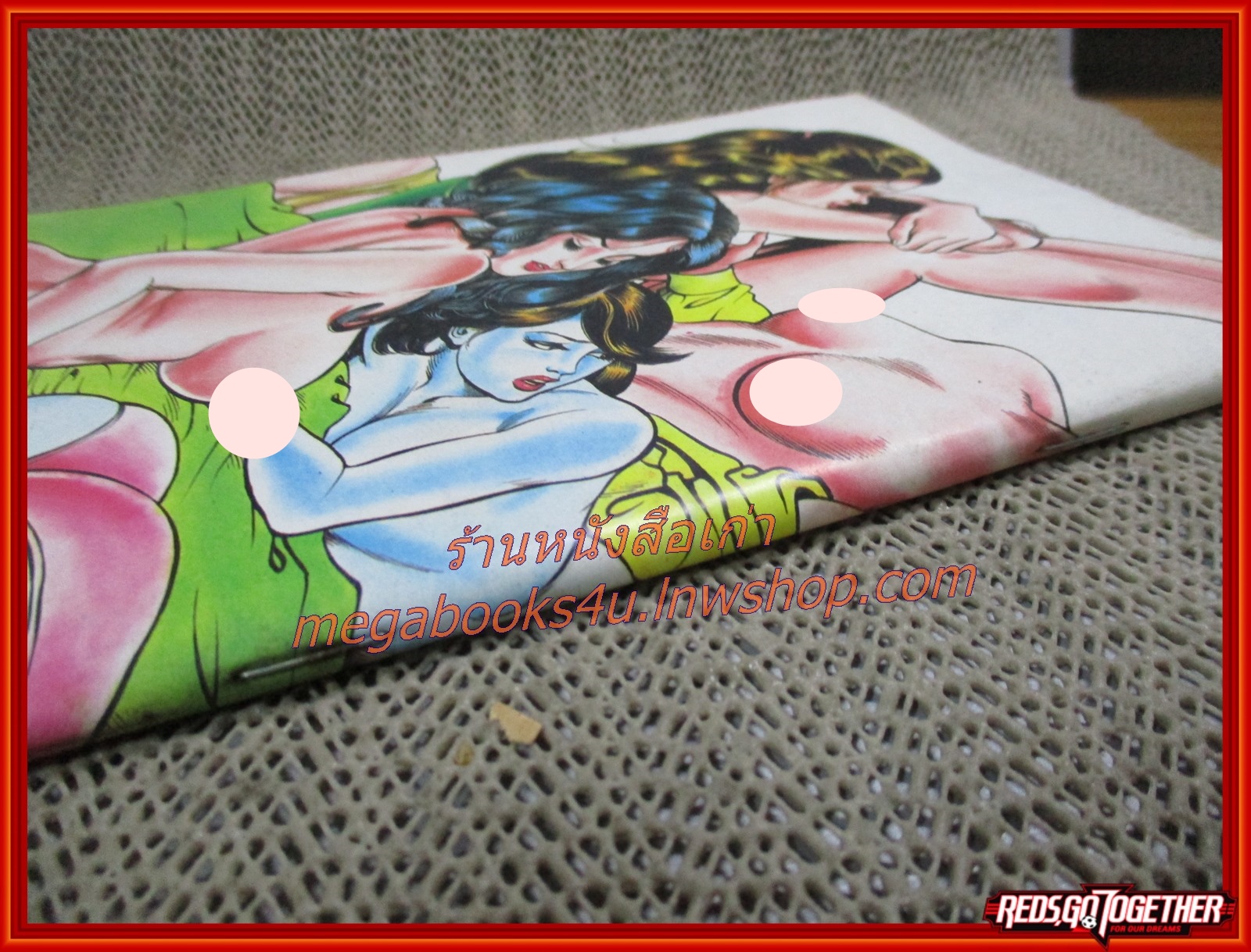 นิยายภาพผู้ใหญ่ การ์ตูนเพื่อหนุ่มหนุ่ม ฉบับพิเศษ