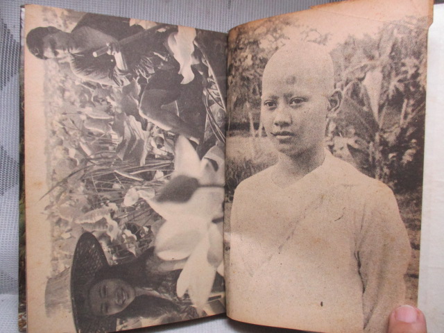 แผลเก่า , แสนแสบ ฉบับมีภาพประกอบจากภาพยนตร์ โดย ไม้เมืองเดิม