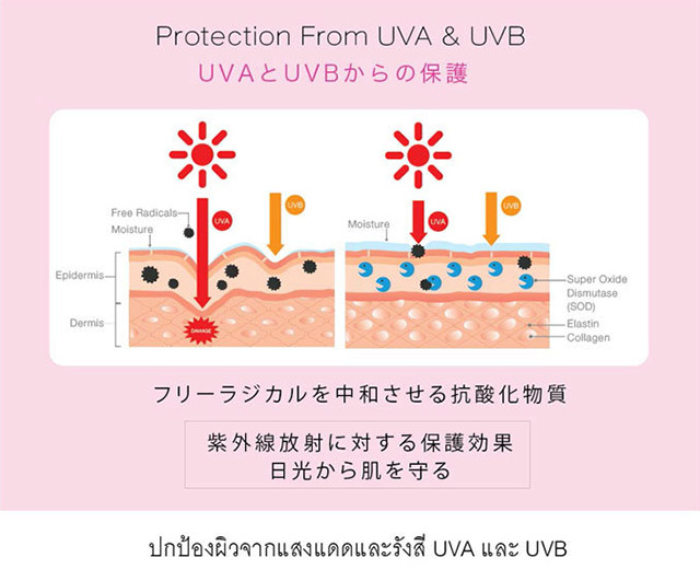 NutriVa W+ อาหารเสริมบำรุงผิว นูทริวา