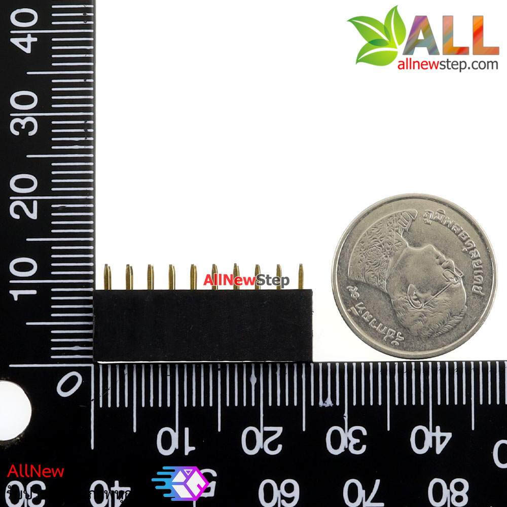 2.54mm pitch female double row female socket 2x10 pin