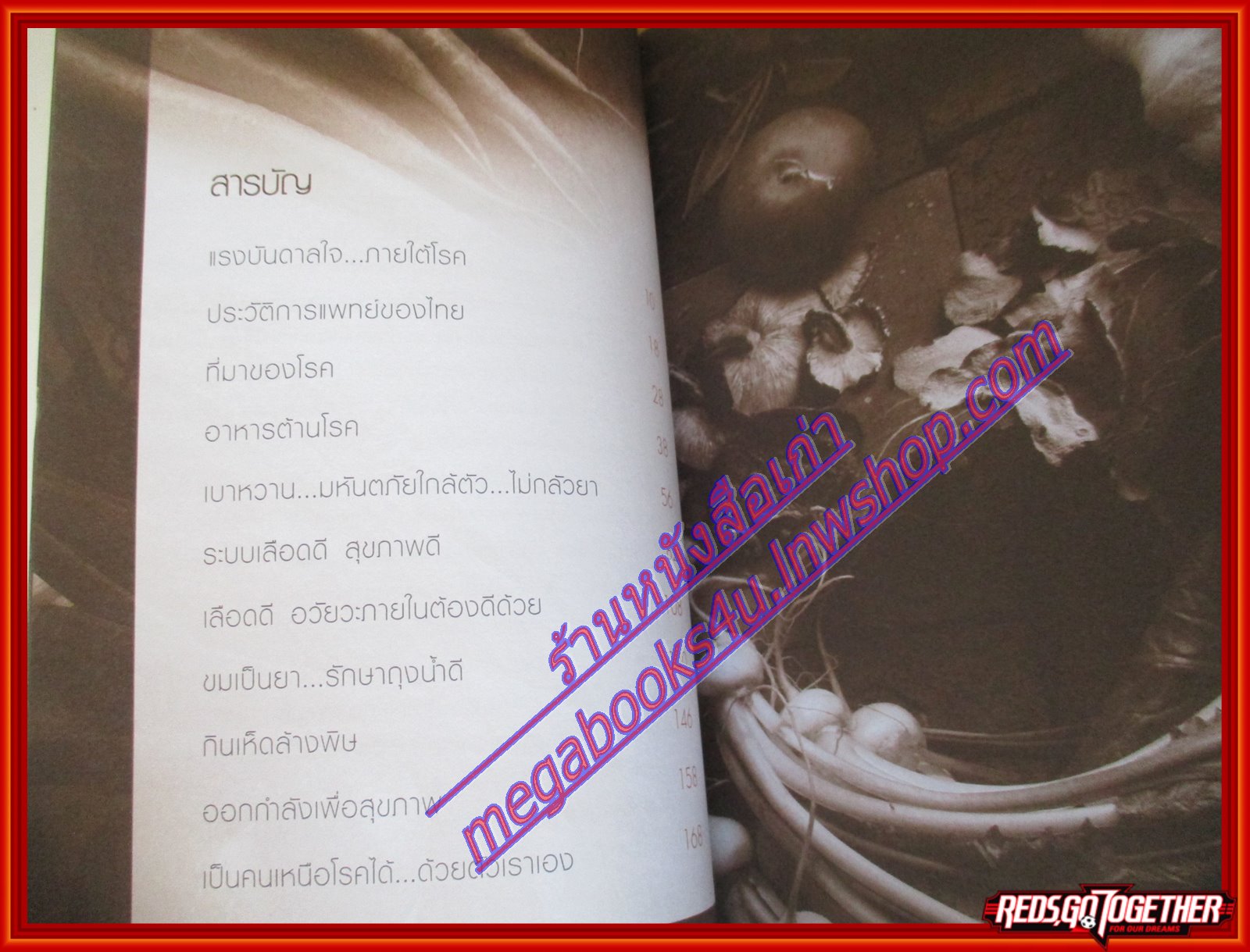 คนเหนือโรค โดย หมอใบไม้ (มือสอง) (สภาพ85-95%)