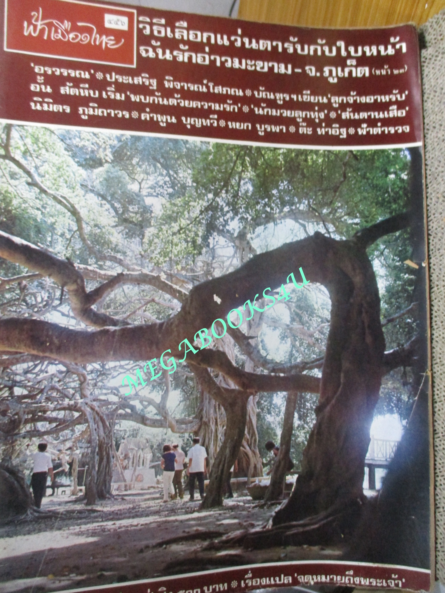 นิตยสารฟ้าเมืองไทย ฉบับ456 ปี2520 ปก ต้นไทร งาม ตำหนิ มุมสันปกมีรอยขาดนิด