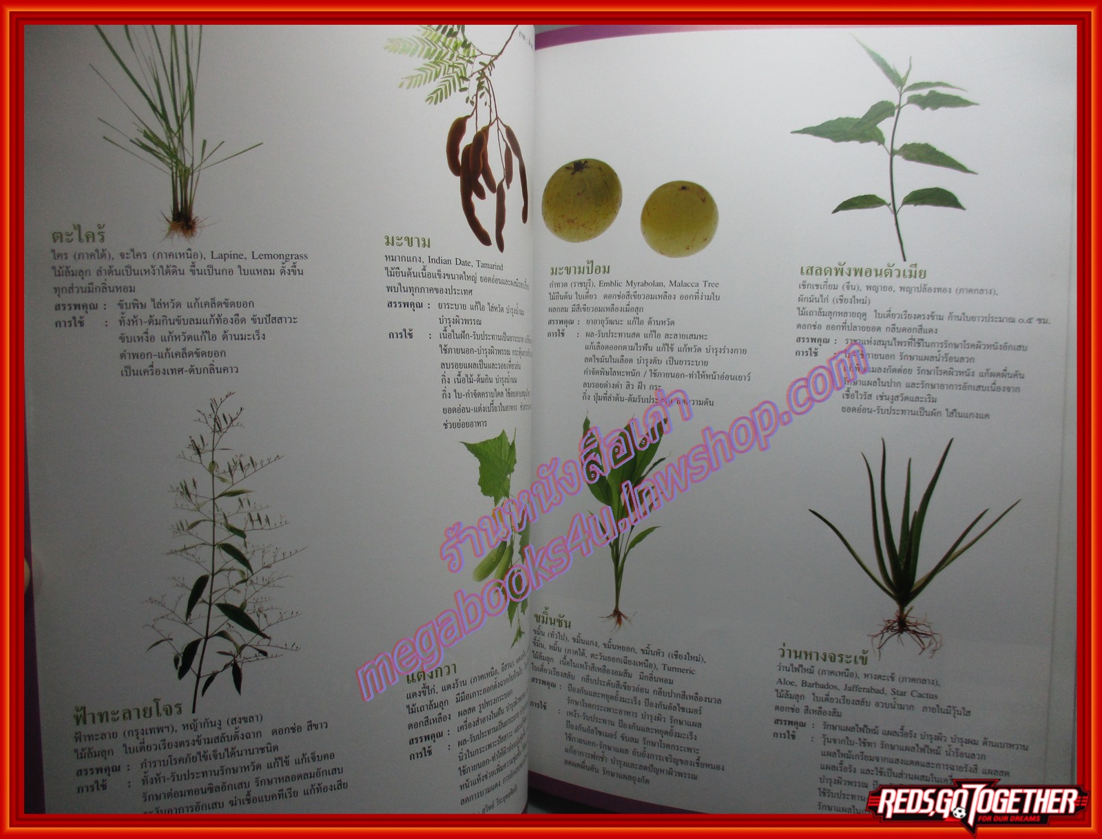 นิตยสารสารคดี ฉบับที่310 ธ.ค. 2553 ปีที่26 ,วอลเลย์บอลหญิง,สมุนไพรไทย,อุทกภัย53