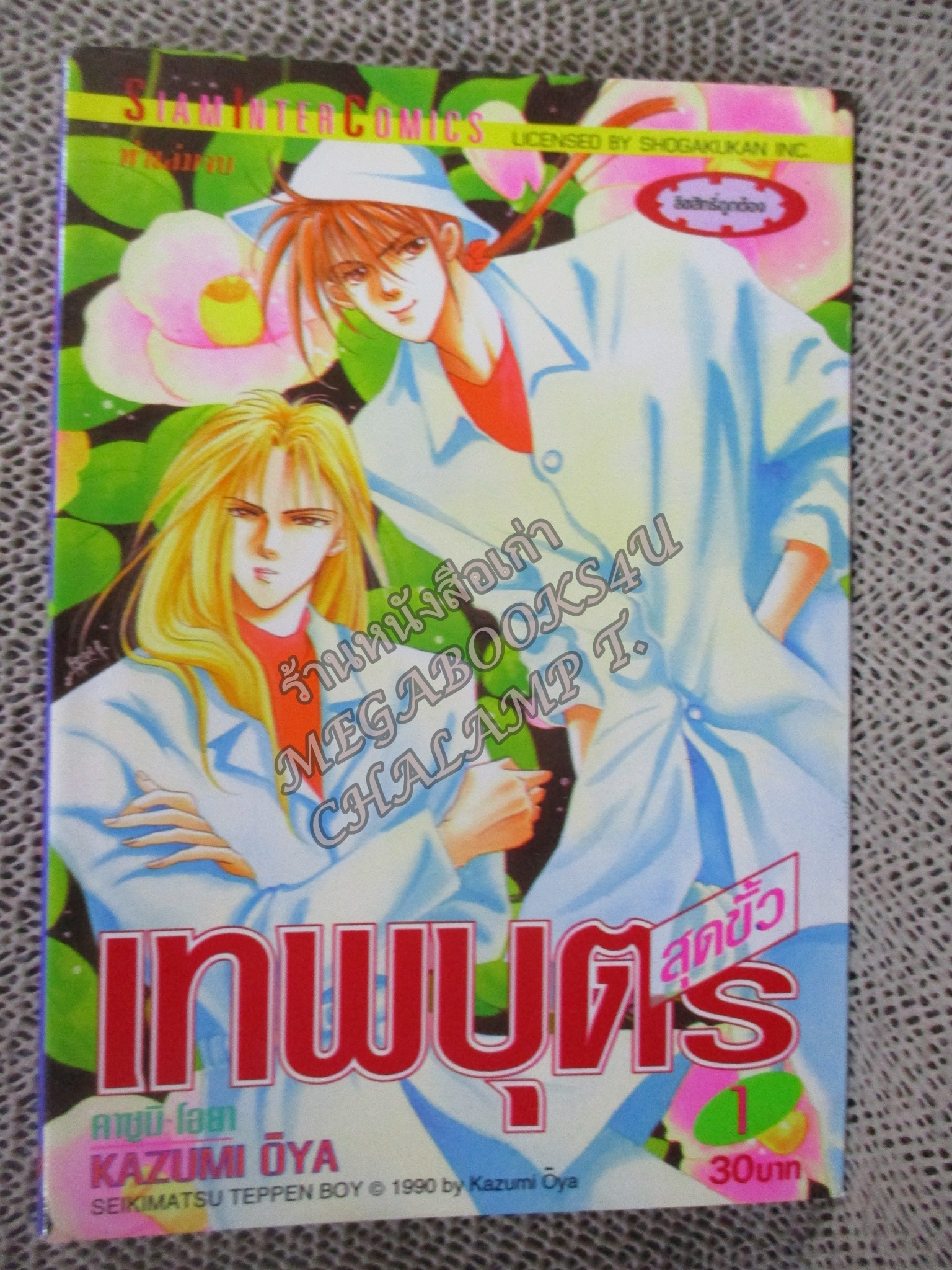 เทพบุตรสุดขั้ว / KAZUMI OYA / ครบชุด 5 เล่มจบ สนพ.สยามฯ