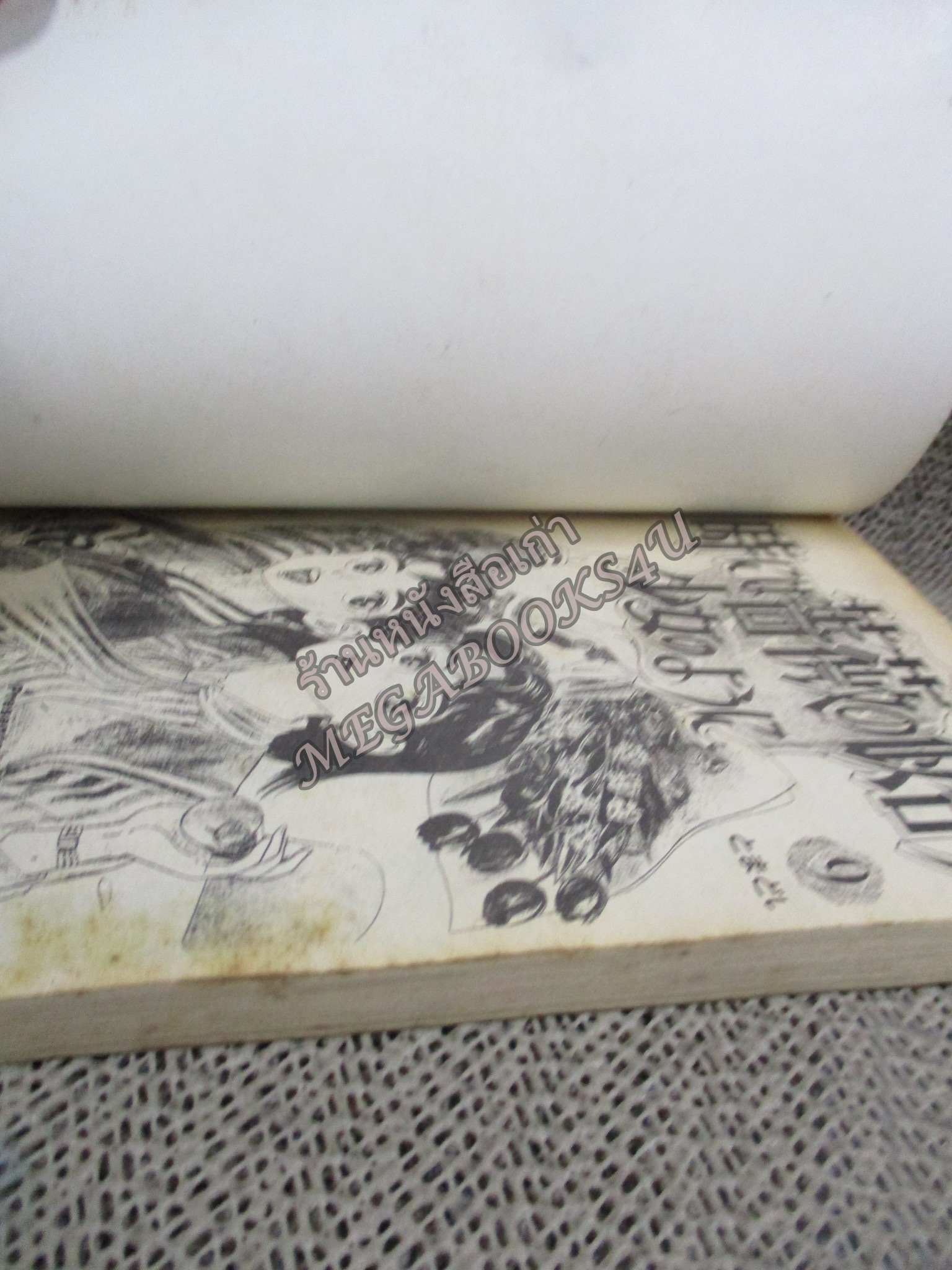 การ์ตูนบ้าน 2สวย1ห่วย เล่ม09 สนพ. EAK CARTOON / มีสนิมกระดาษขึ้น ประปราย