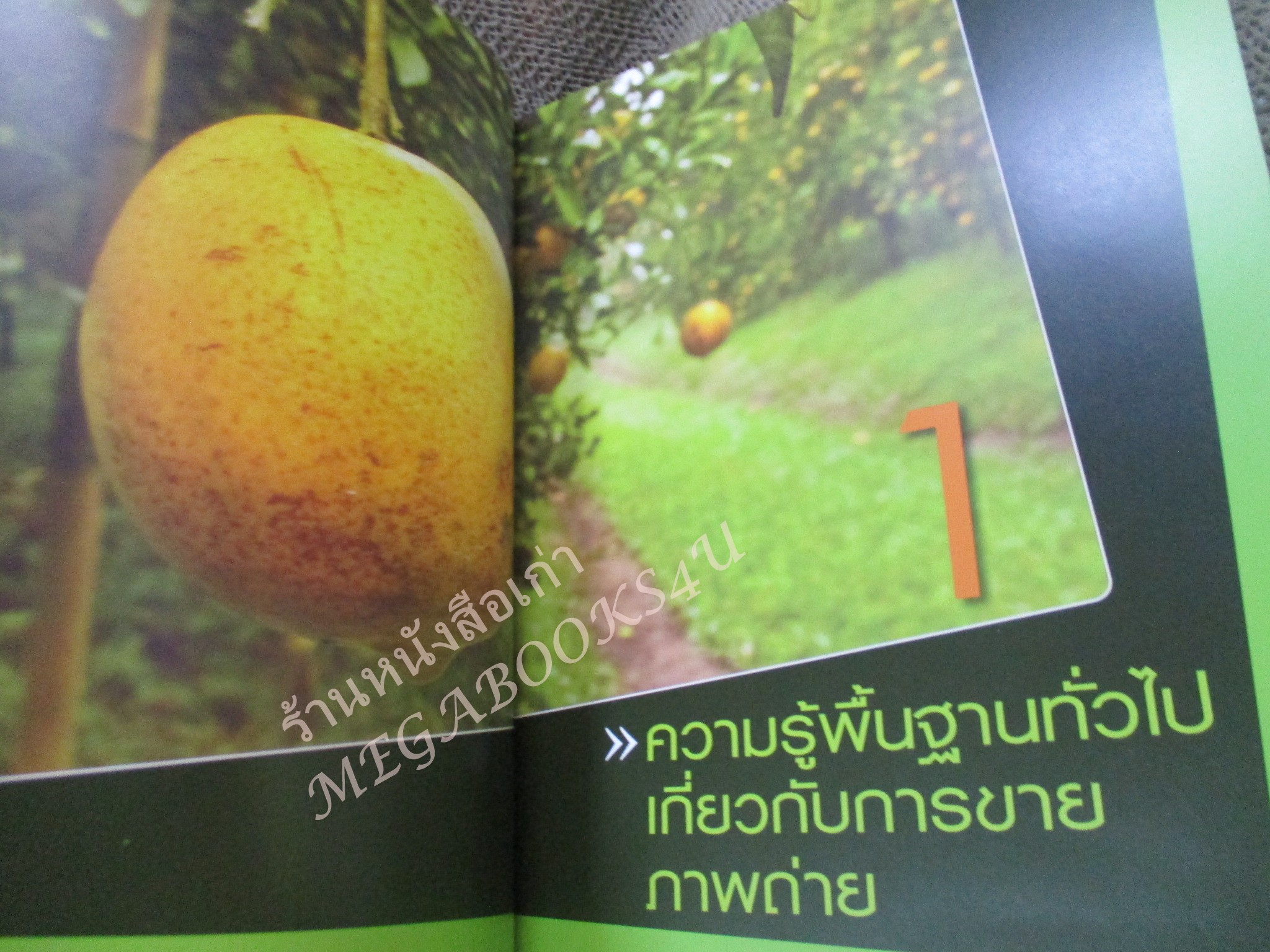 แชะ!!... รวยทะลุเลนส์ ถ่ายภาพขายออนไลน์ ธุรกิจสร้างเงินล้าน ผู้แต่ง สุระ นวลประดิษฐ์