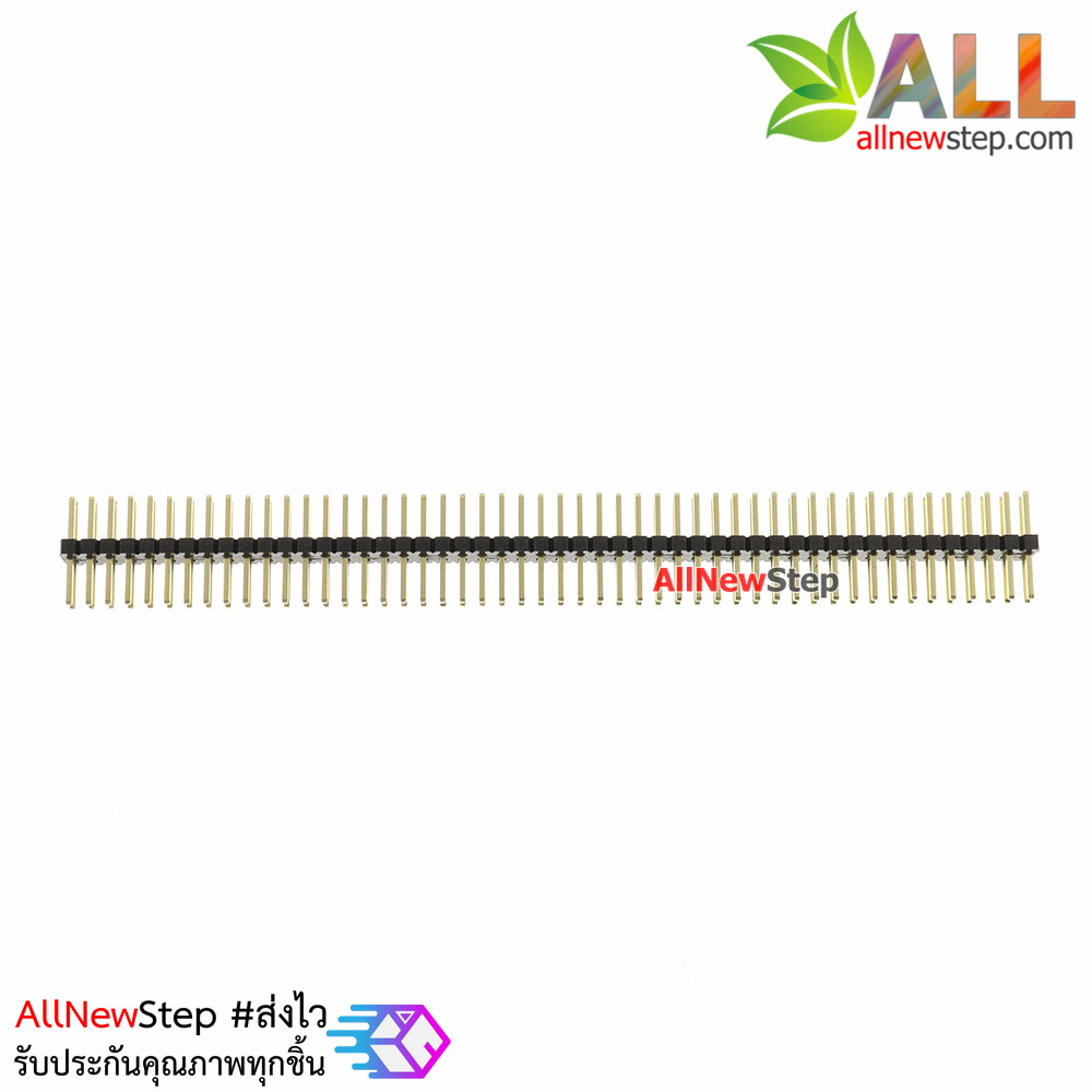 ก้างปลา 2x50 ขา ระยะห่าง 1.27mm