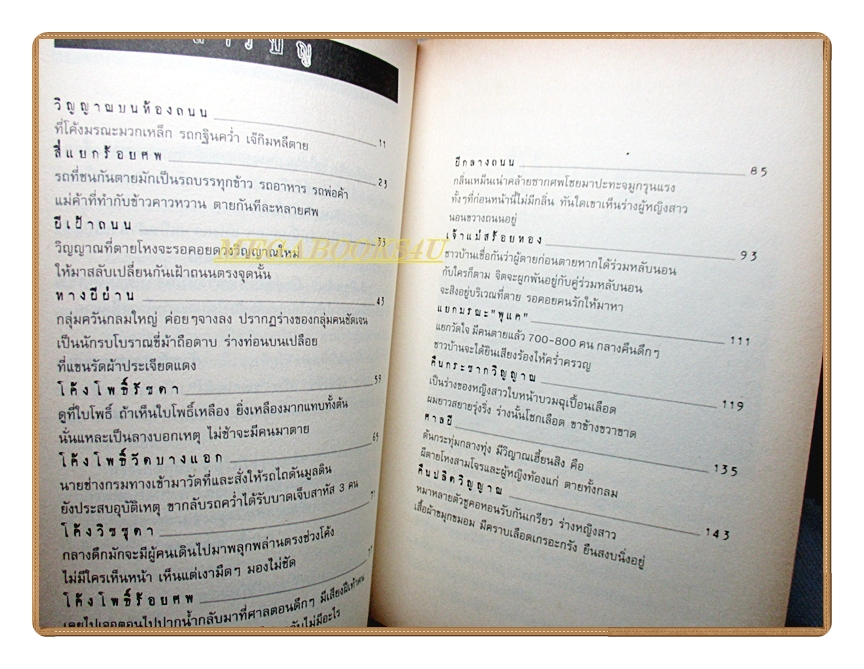 ผีเฝ้าถนน โดย ตีรธรรม