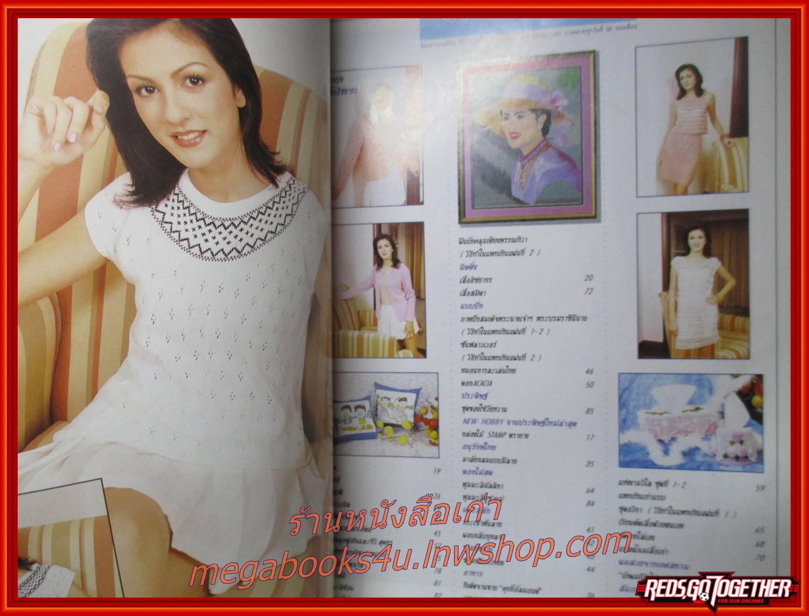 นิตยสารงานฝีมือ ฉบับที่171 ปี2541