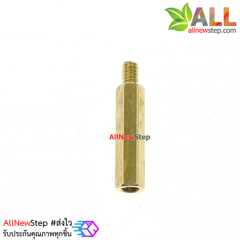 น็อตทองเหลือง NUT M2 ขนาด 12+3mm