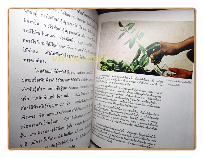 สารานุกรมไทยสำหรับเยาวชน เล่ม05 โดยพระราชประสงค์ในพระบาทสมเด็จพระเจ้าอยู่หัว