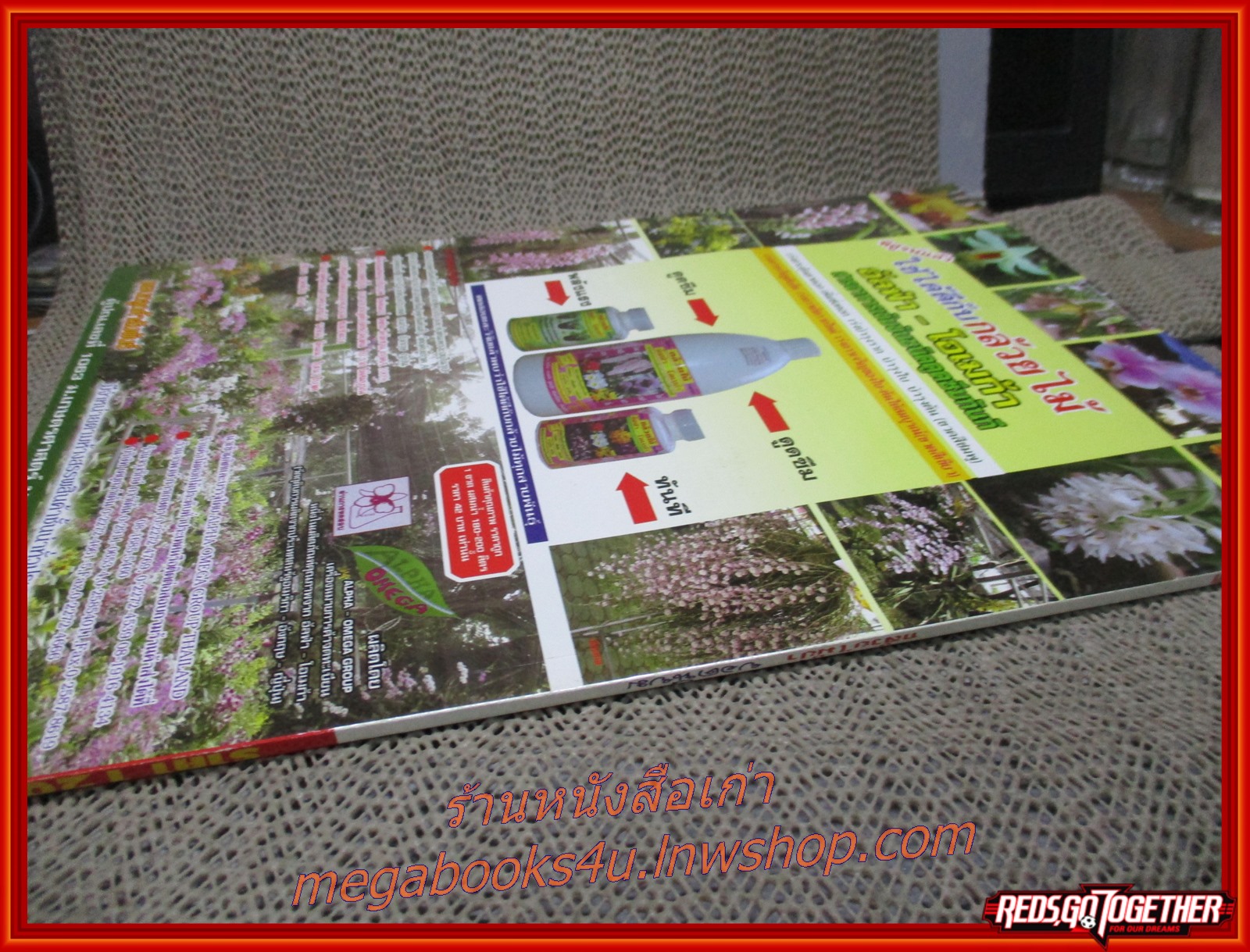 กล้วยไม้ป่า ยอดนิยม