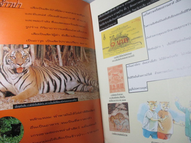 นิตยสารสารคดี ฉบับฉลองการก้าวสู่ปีที่10 ปีขาล เสือ