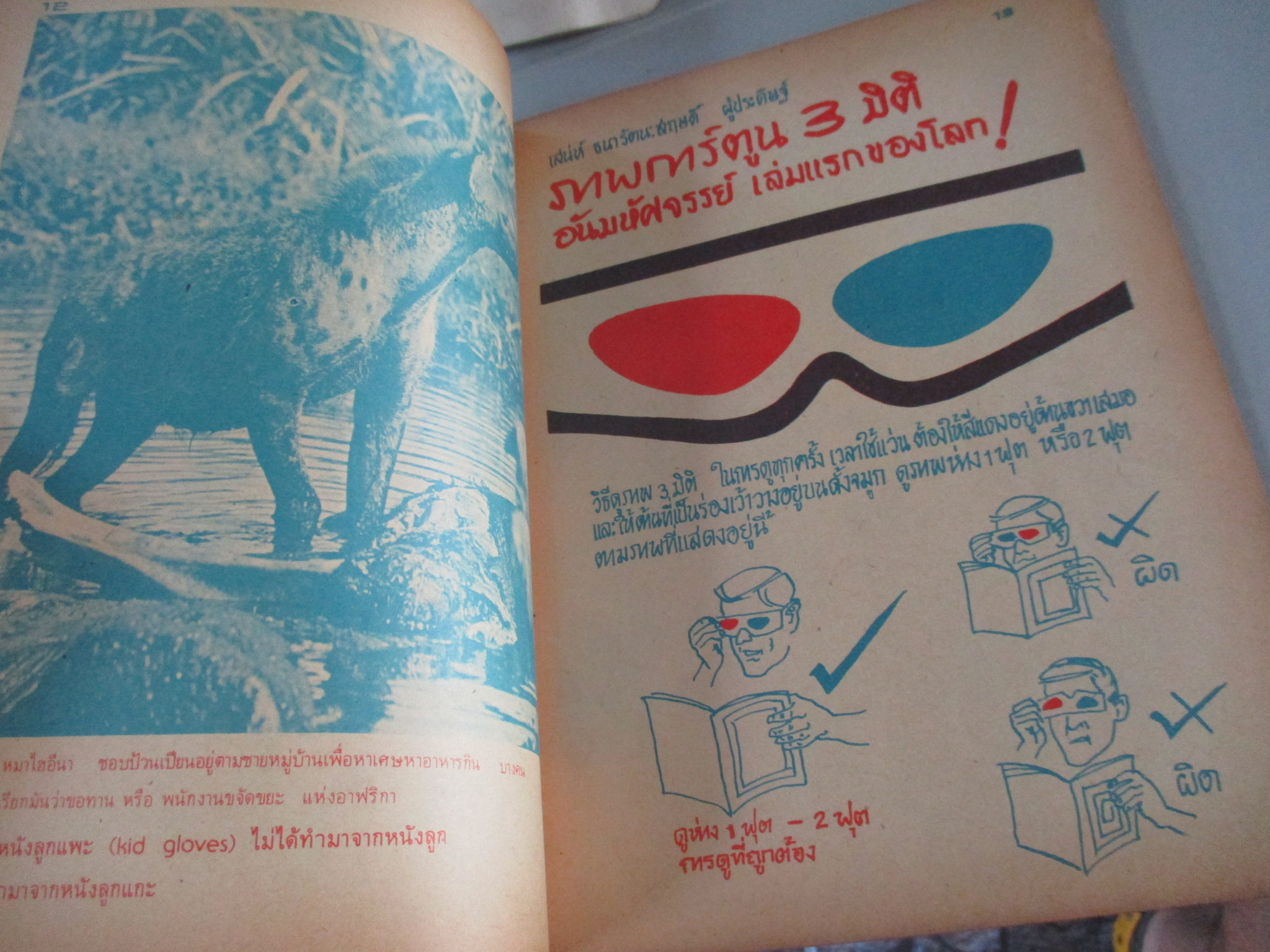 การ์ตูน3มิติ ขนาดA4 ขาวดำ +สี แว่น