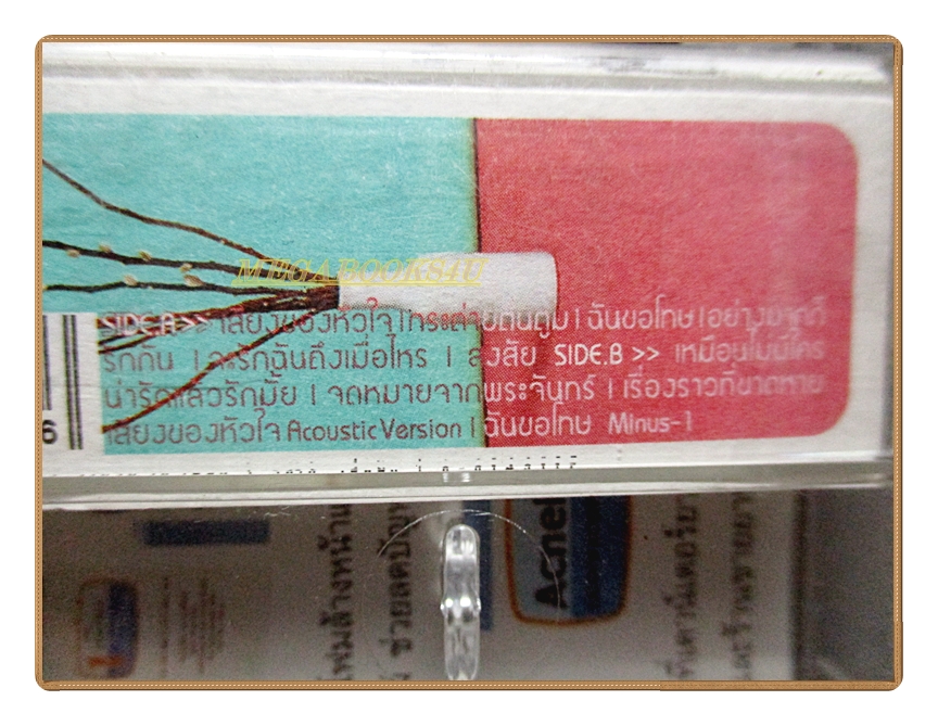 เทปเพลงไทยสากล แอน ธิติมา ประทุมทิพย์ ชุด EXTRAMILD ปี2543