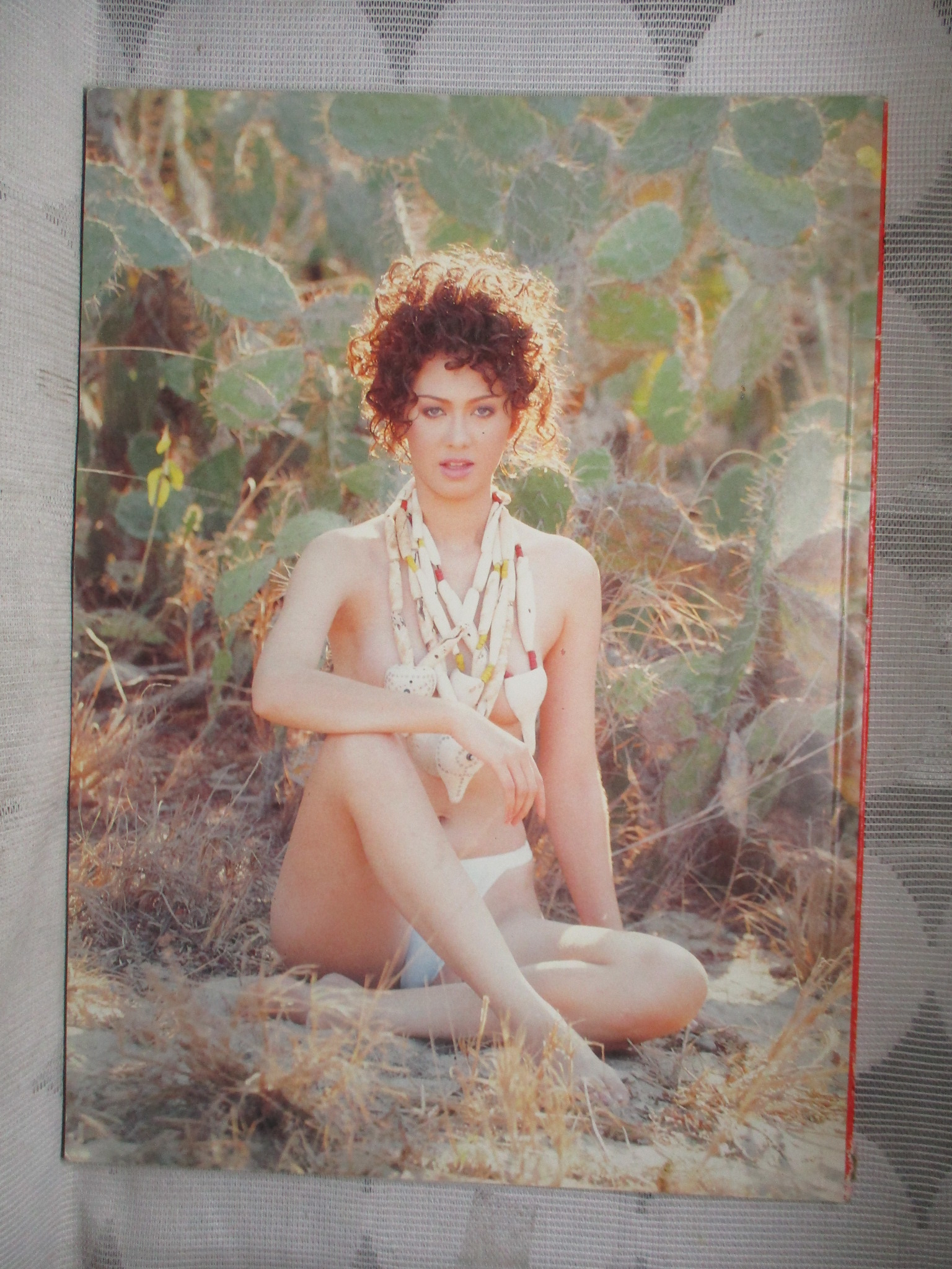 SEXY PHOTO ALBUM SEVEN