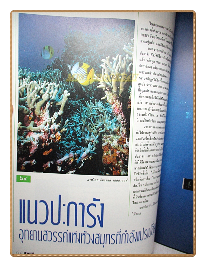 นิตยสารสารคดี ฉบับที่063 ปีที่06 2533 แนวปะการัง เรือไดหมึก ครูสังคม ทองมี เพชรบุรี สภาพดี