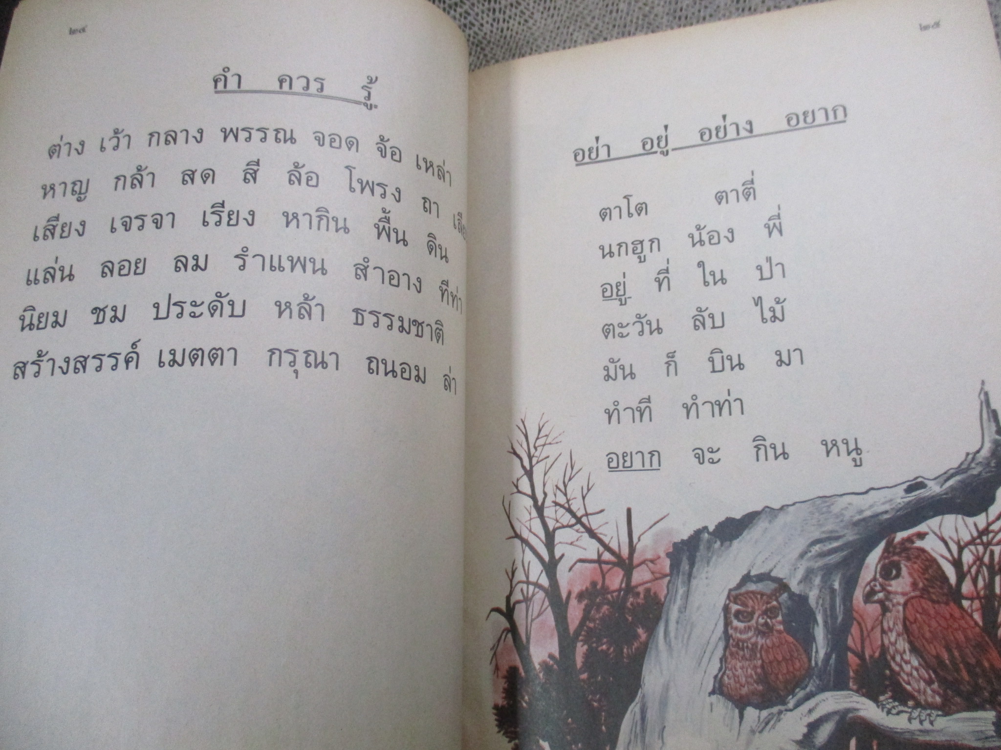 หนังสือฝึกหัดอ่านภาษาไทย เล่ม1 ชุดสระ พยัญชนะ / ปี2528 / สภาพค่อนข้างดี ภายในมีข้อความเขียน 1 หน้า / มีชื่อเจ้าของที่ปกรองด้านใน /