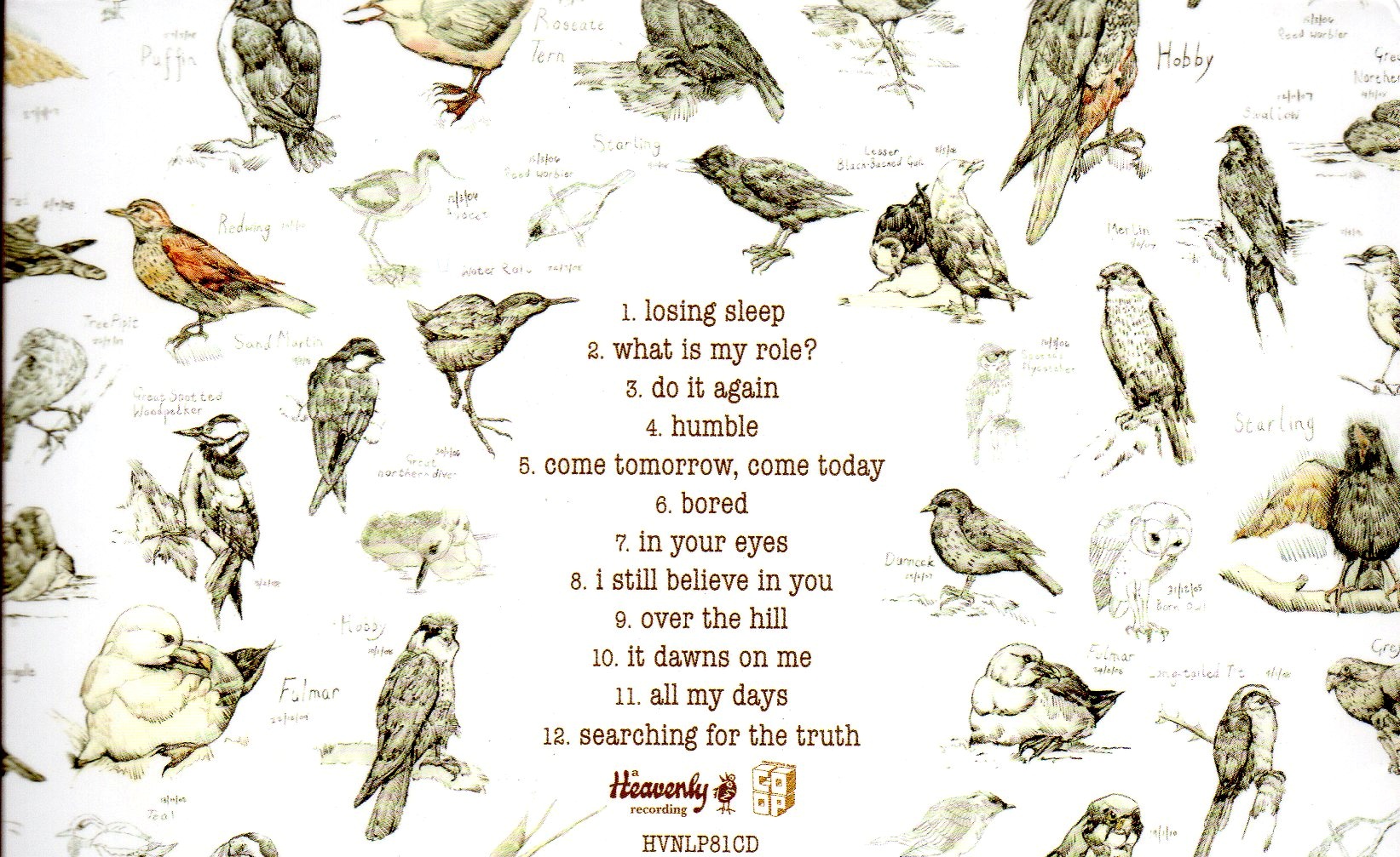 CD,Edwyn Collins - Losing Sleep (2010)