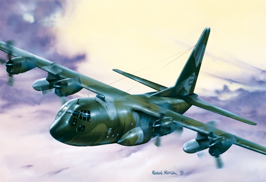 1/72 C - 130 HERCULES E/H